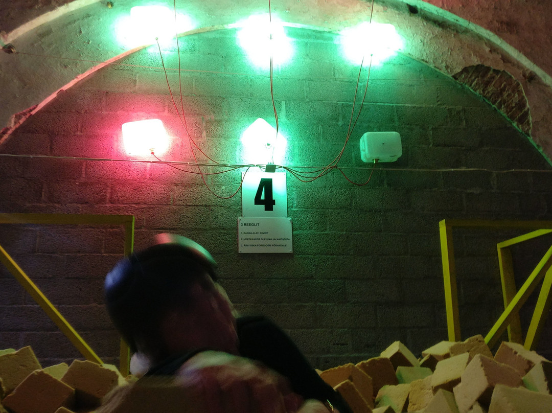 Peetri旅游景点-Zelluloosi Batuudikeskus