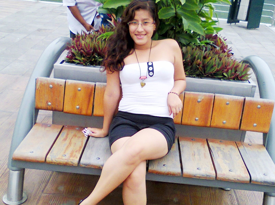 Puente Zigzag- Parque-瓜亚基尔必去景点