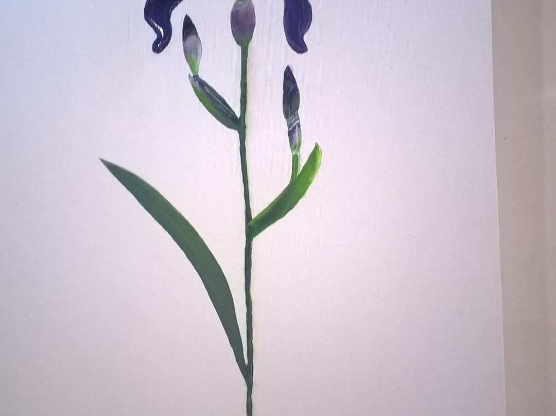 Montagu Museum and Art Gallery