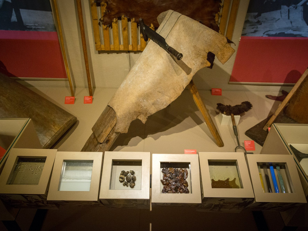 Trzic Museum-特尔日奇必去景点