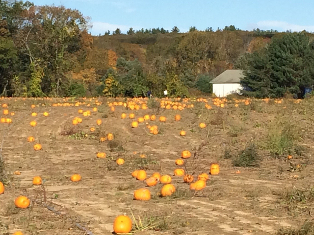 Jaswell’s Farm-Smithfield必去景点
