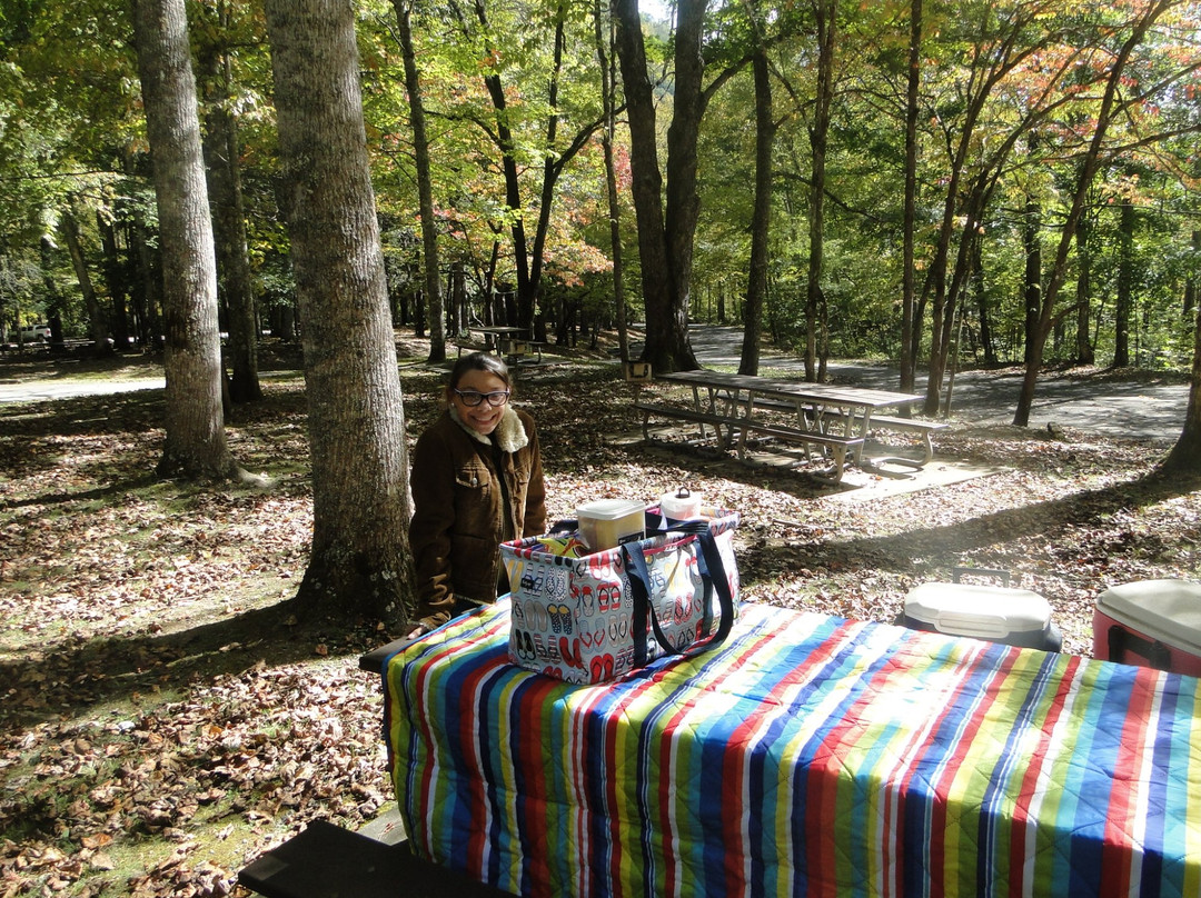 Collins Creek Picnic Area-大雾山国家公园必去景点