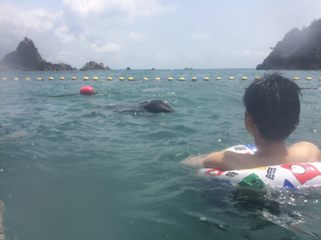 Kujirahama Beach-太地町必去景点