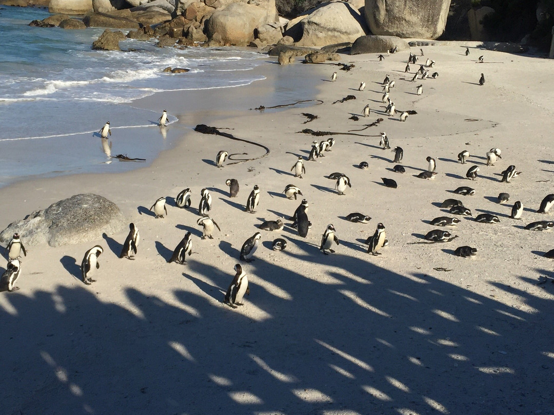 Simon's Town Country Club-西门镇必去景点