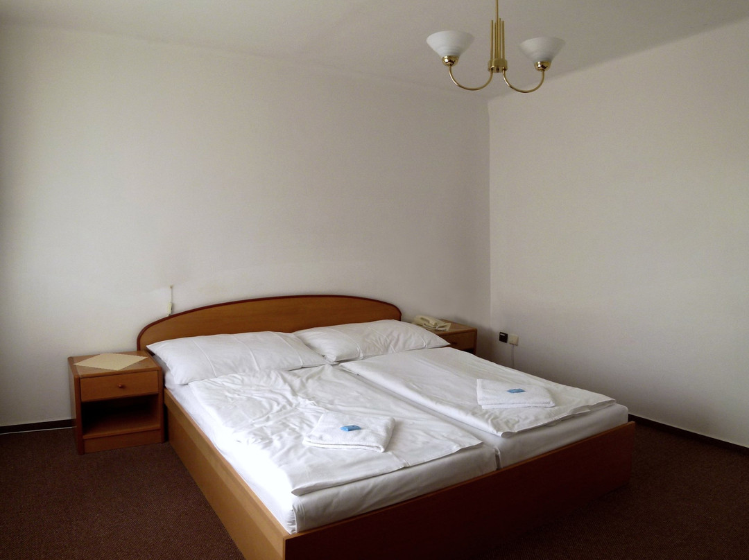 Central Wellness Hotel主图