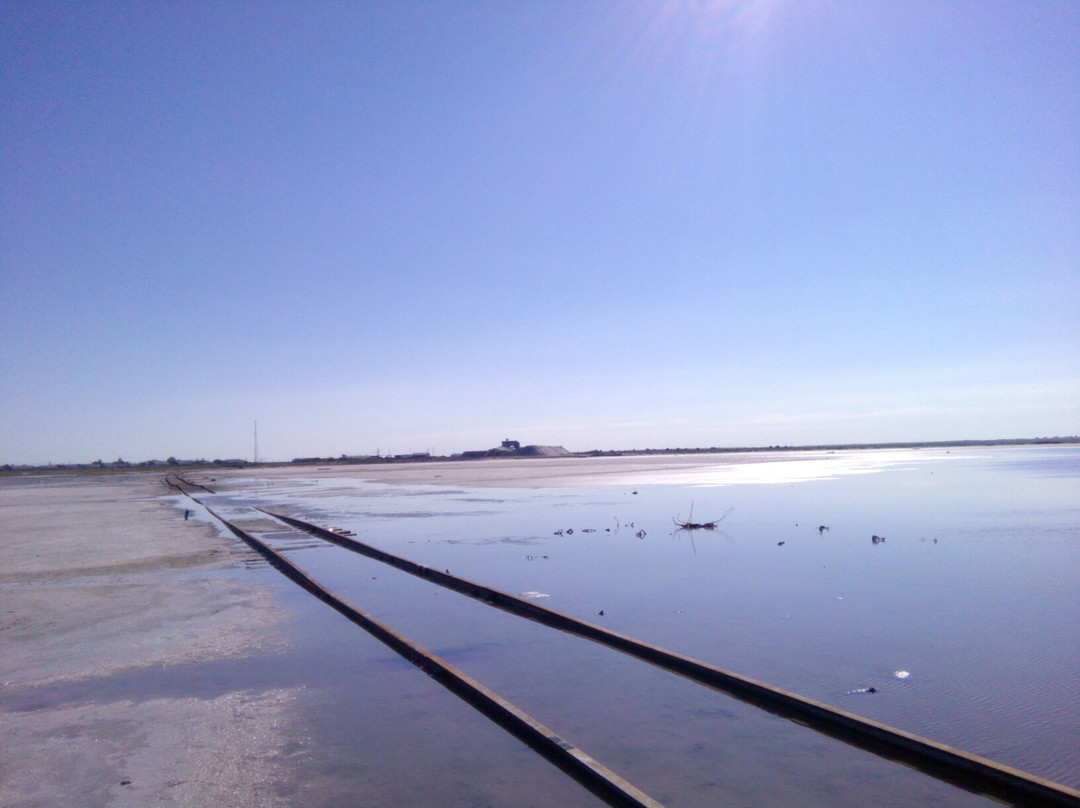 Yarovoye旅游景点-Burlinskoye Lake