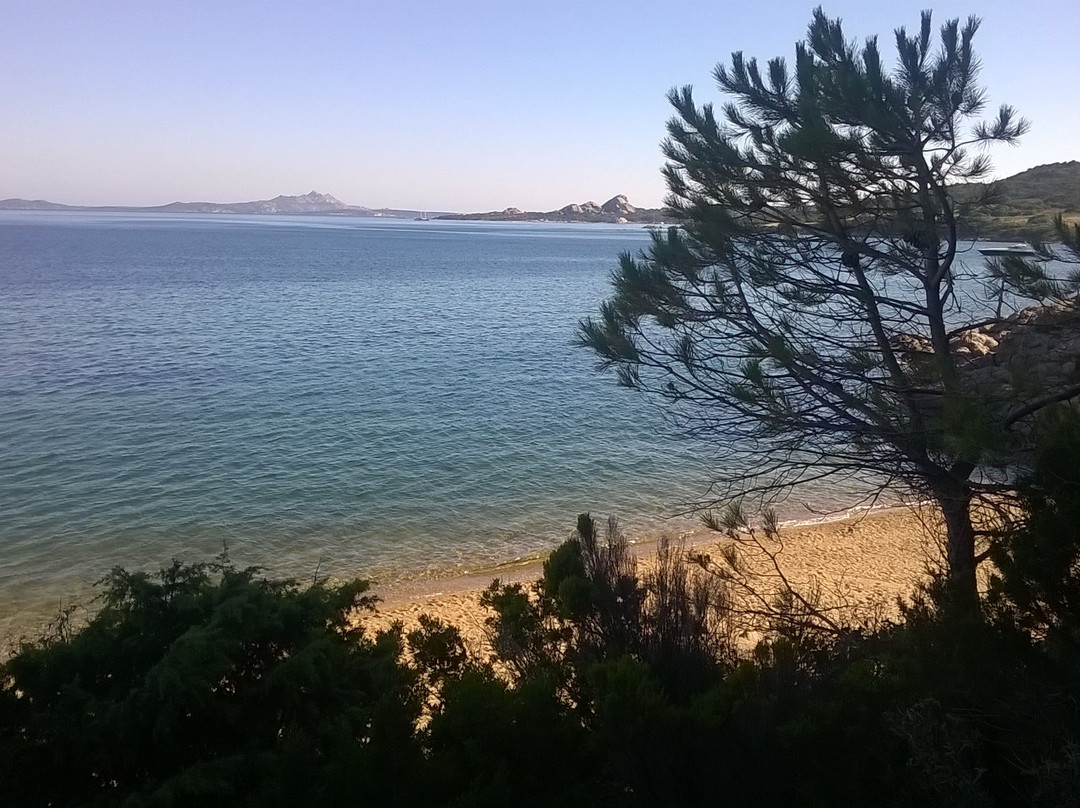 Cala dei Ginepri