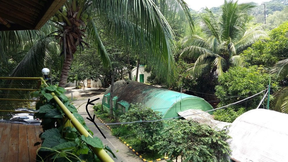 Tree Top Adventure Subic-苏比克湾自由贸易区必去景点