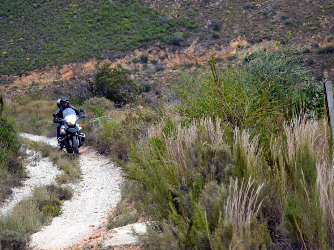 Houwhoek Pass-Botrivier必去景点
