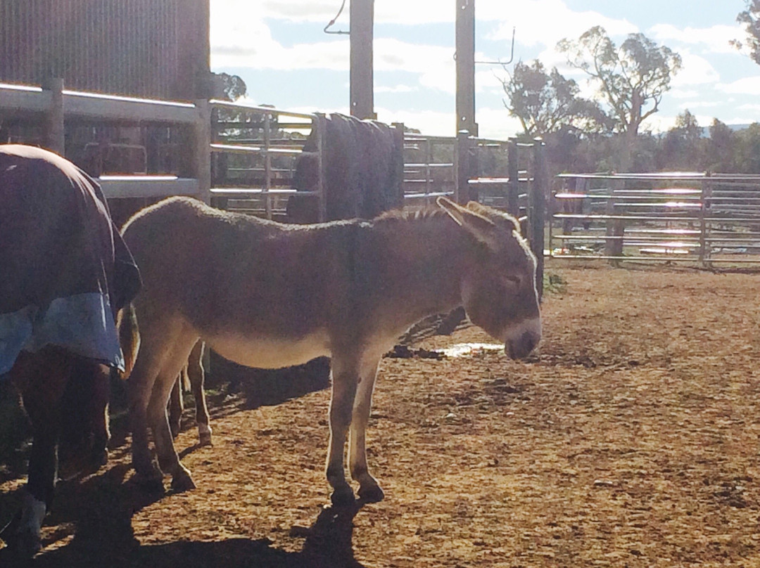 Centennial Glen Stables-布莱克希思必去景点