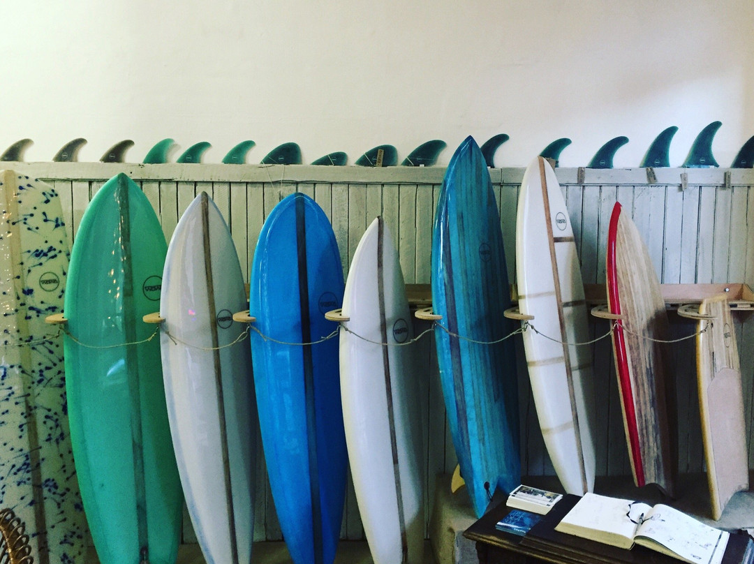 Rolling Wood Surf and Skate-Muizenberg必去景点