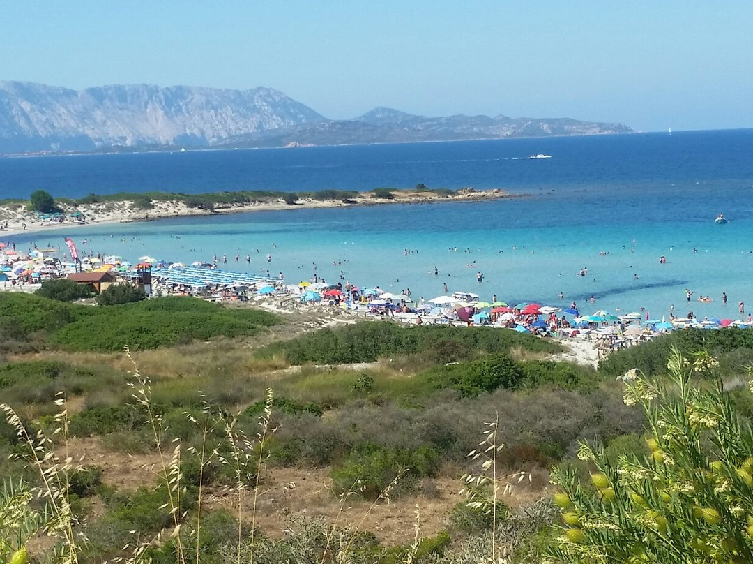 Spiaggia di Isulidda-Macari必去景点
