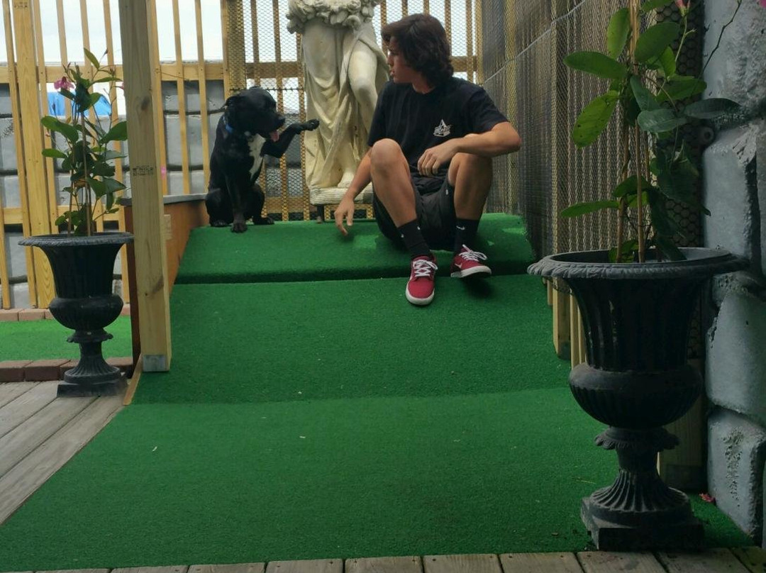 Medieval Fantasy Mini Golf景点图片