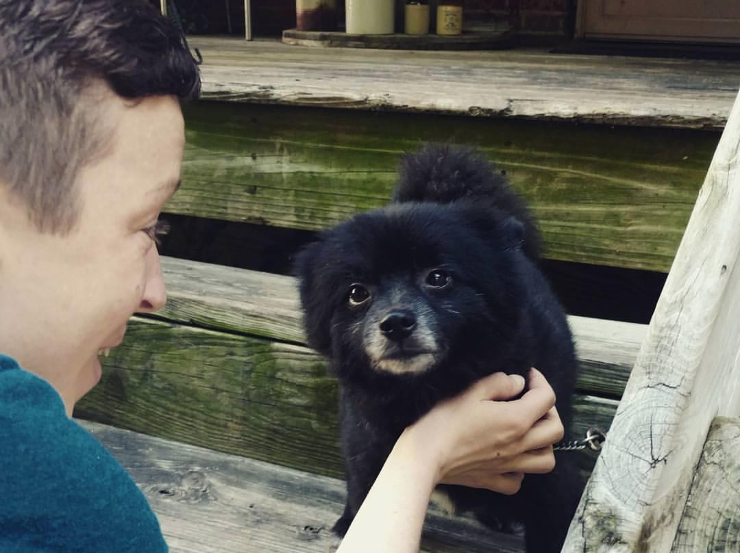 The Rippon-Kinsella House主图