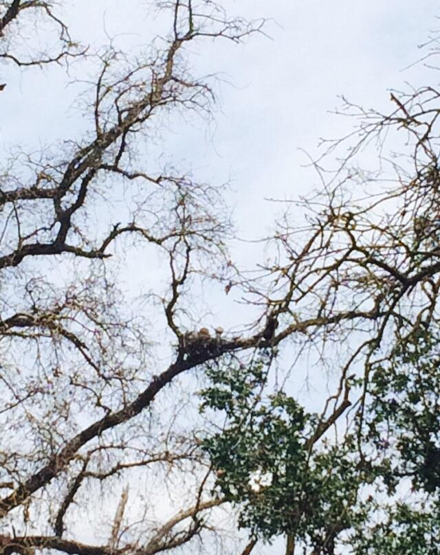 Effie Yeaw Nature Center-Carmichael必去景点