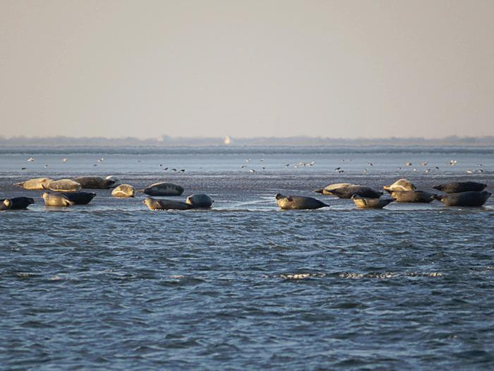 Mandoe Event-Mandoe必去景点