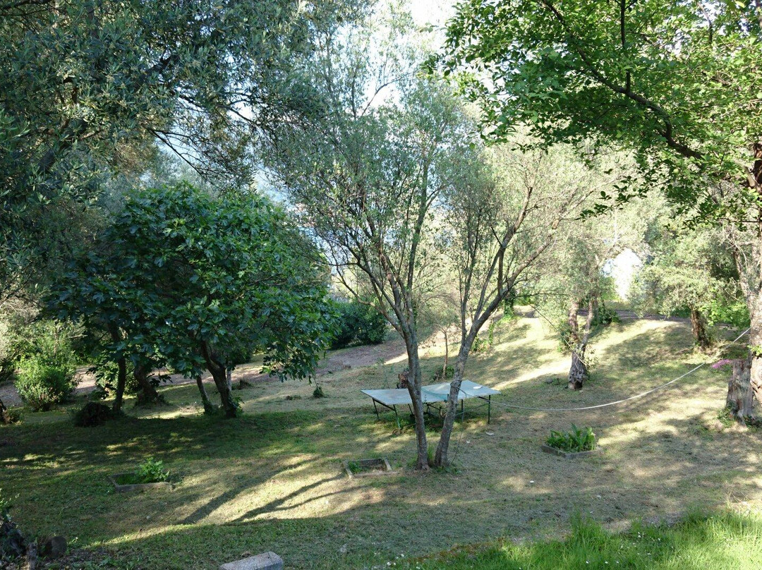Island of St. Mark-Tivat Municipality必去景点