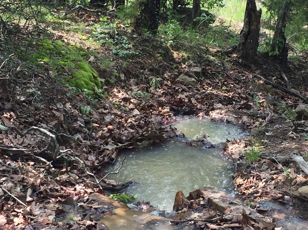 Arrowhead State Park-Canadian必去景点
