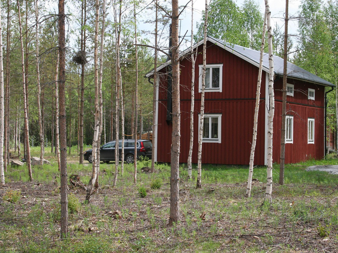 Rörströmsälvens Jakt & Fiske Upplevelser
