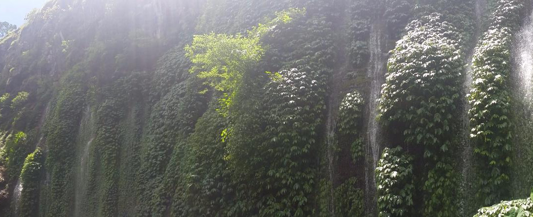 Coban Sumber Pitu-巴图必去景点