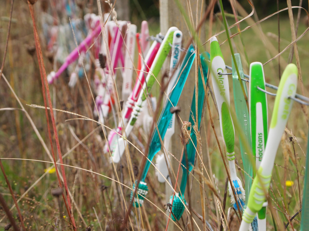 The Toothbrush Fence-汉密尔顿必去景点