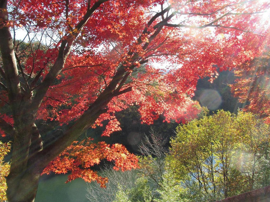 Lake Momiji (Minowa Dam)-箕轮町必去景点
