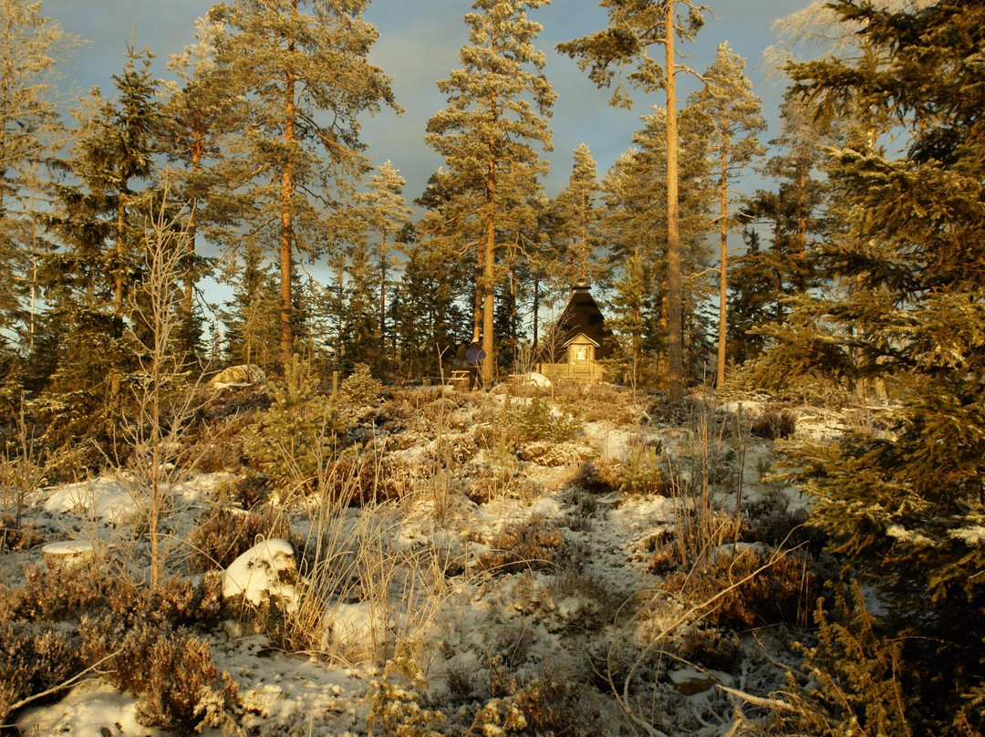 Sinivuori Hiking trail-Kangasniemi必去景点