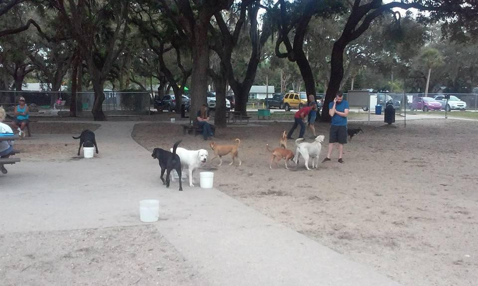 G.T. Bray Park-布雷登顿必去景点