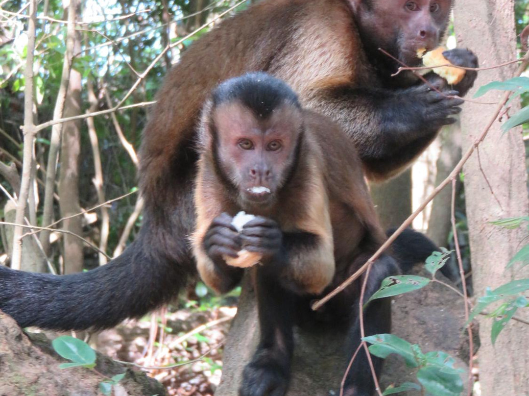 La Hulotte Day Tours-Kourou必去景点