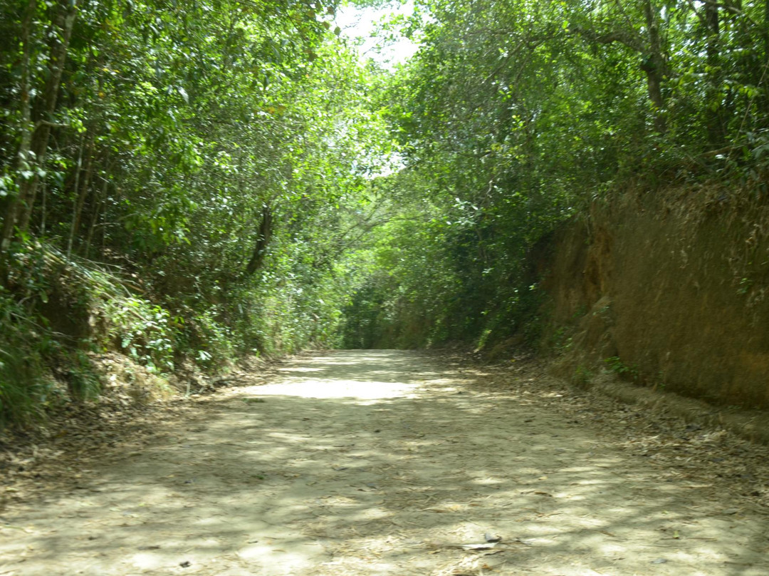 Parque municipal de Maceio景点图片