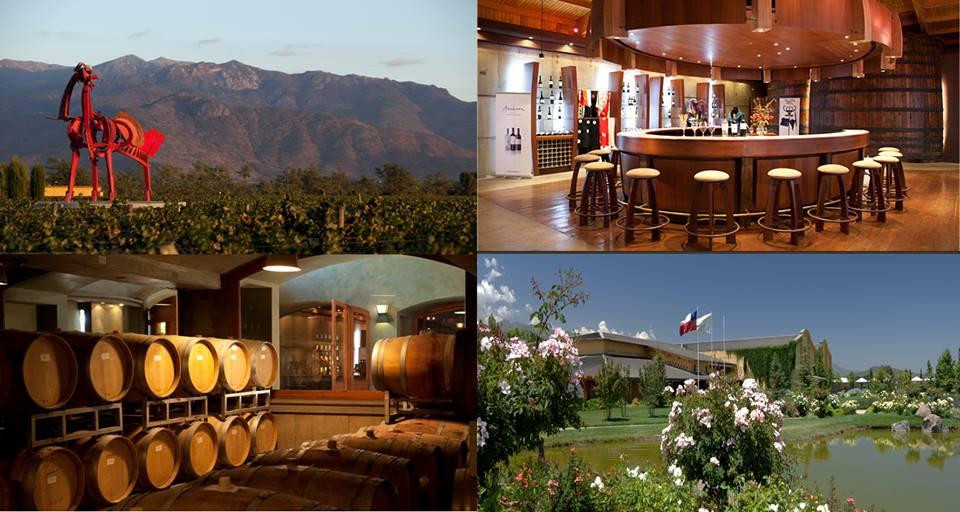 Viña Anakena-兰卡瓜必去景点