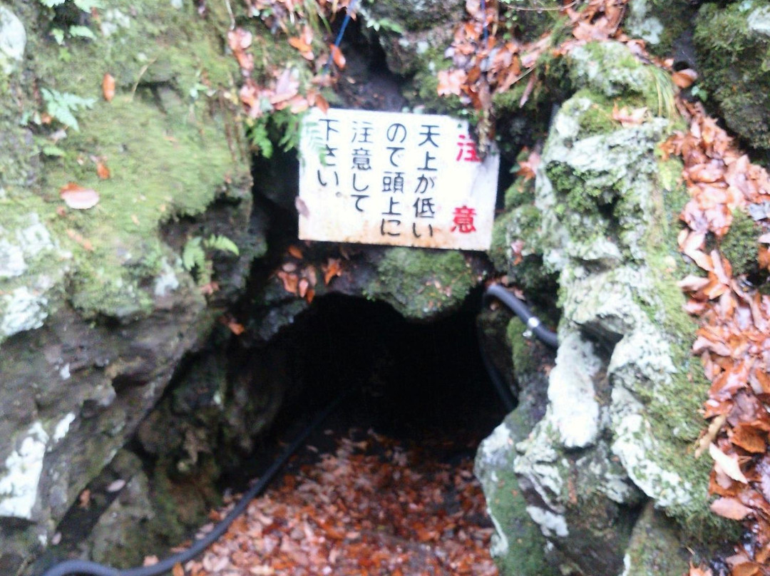 Otainai Seikoen景点图片