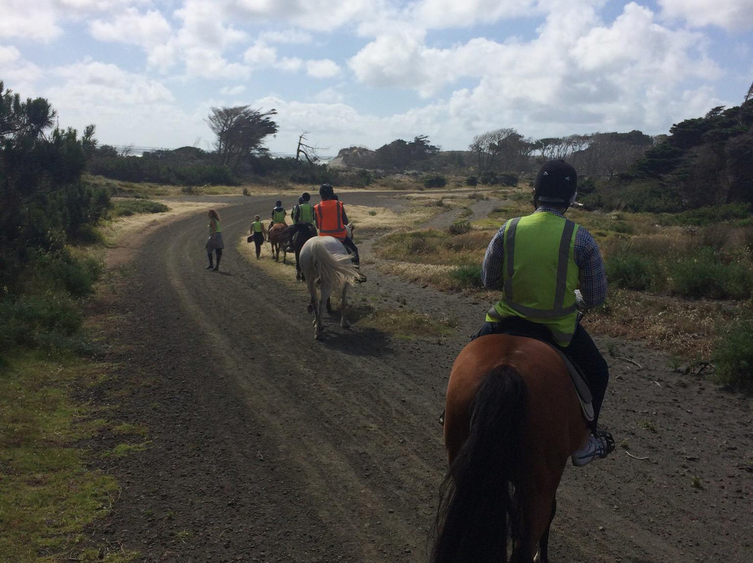 Aboutriding. Co. Nz-穆里怀海滩必去景点