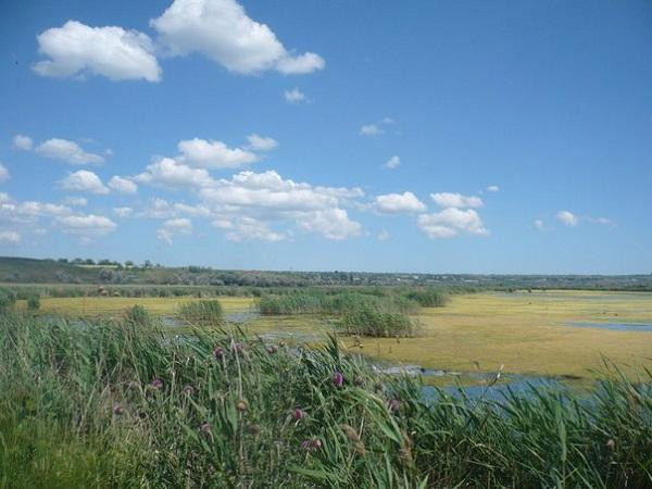 Nizhnednestrovskiy National Park-Mayaky必去景点
