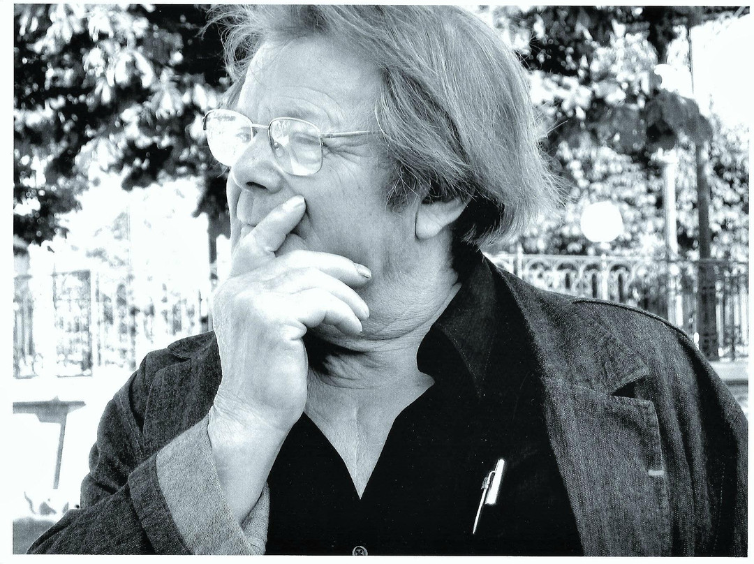 Espace culturel Louis Derbré景点图片