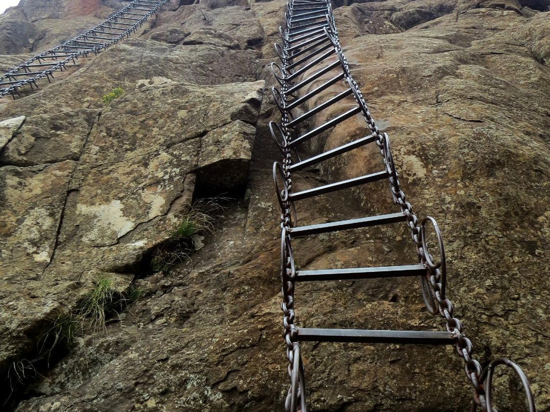 Dragons' Van - Day Tours-柏维必去景点