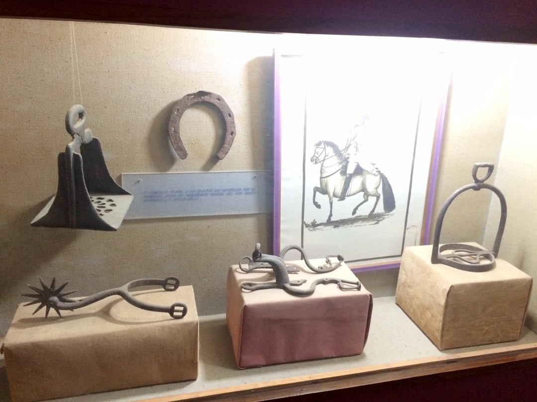 Museum of the Dominican Man-圣多明哥必去景点