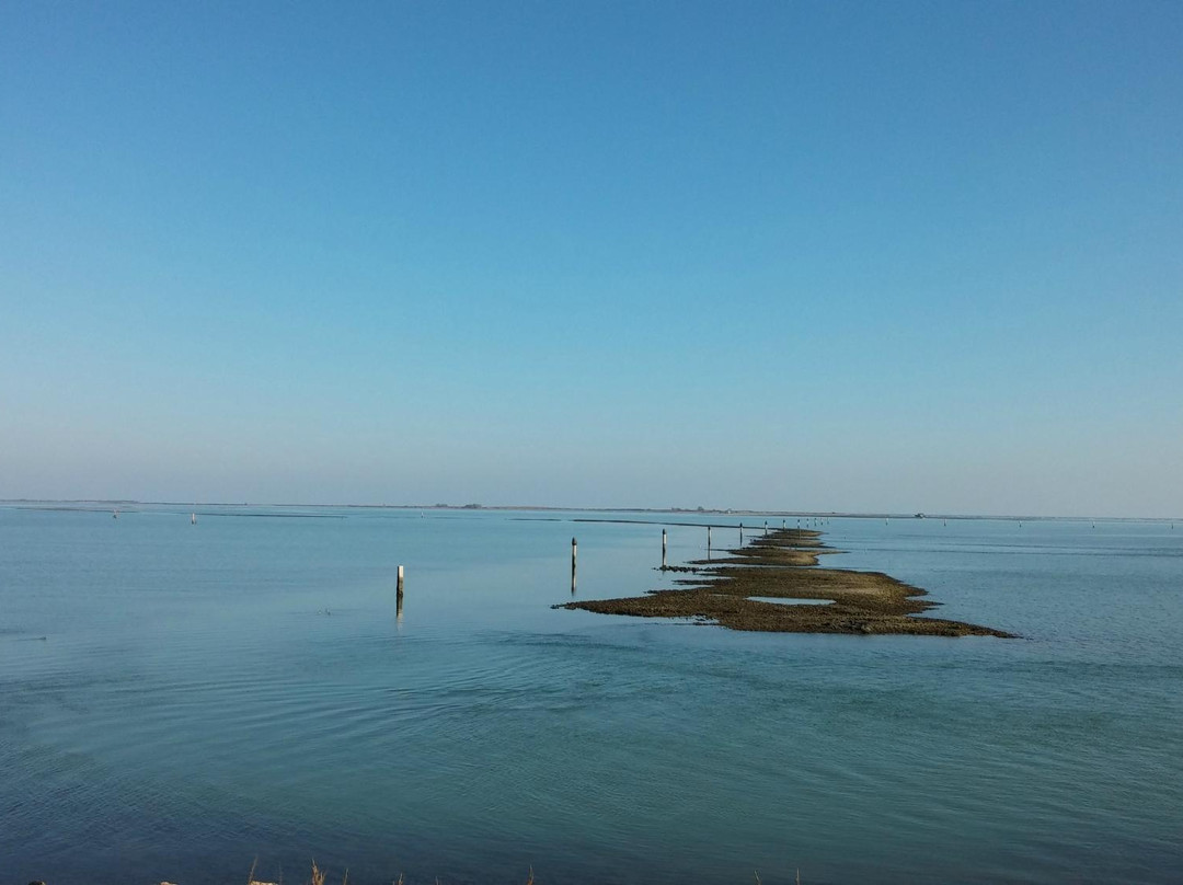 PescaTU景点图片