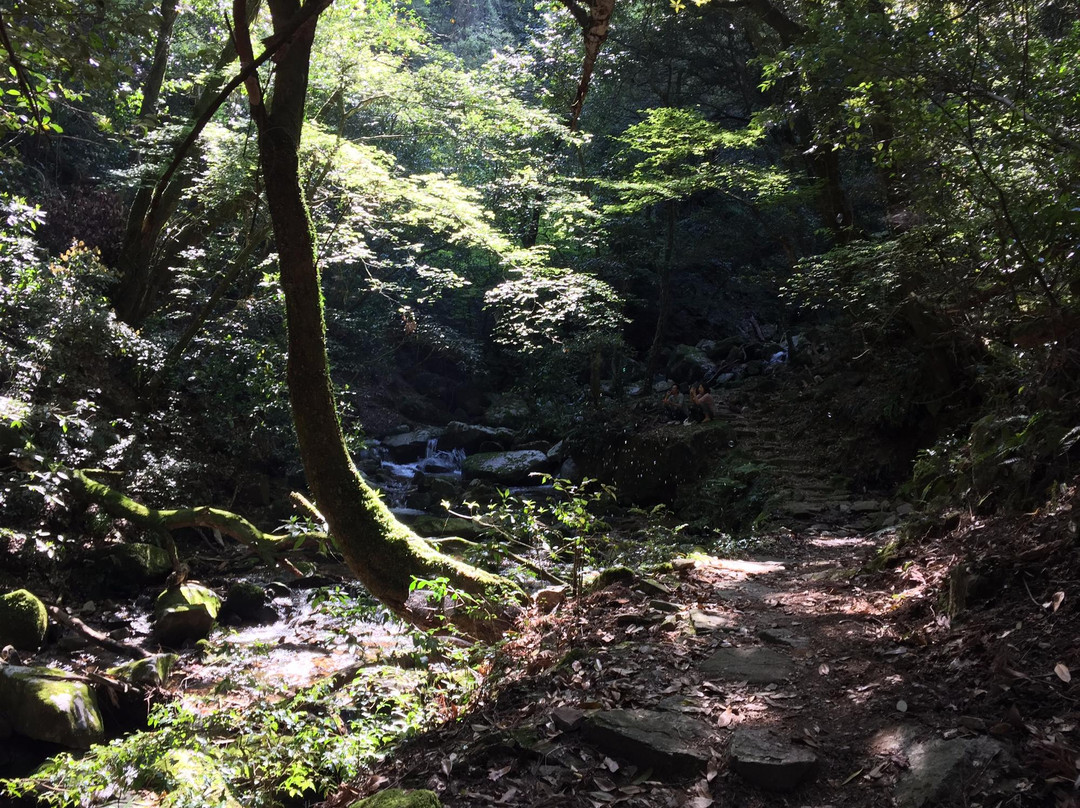 Ochozuno-taki-鸟栖市必去景点