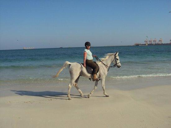 Al Jabal Al Akhdar District旅游攻略图片