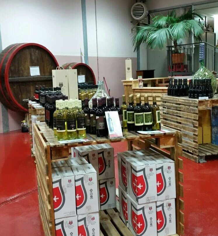 Cantina Delle Colline Pisane景点图片