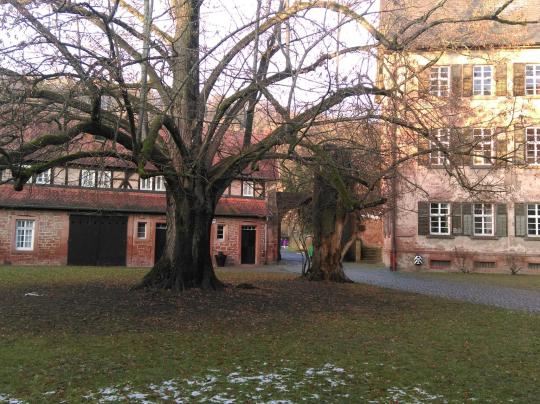 Schlossmuseum - Schloss Büdingen景点图片