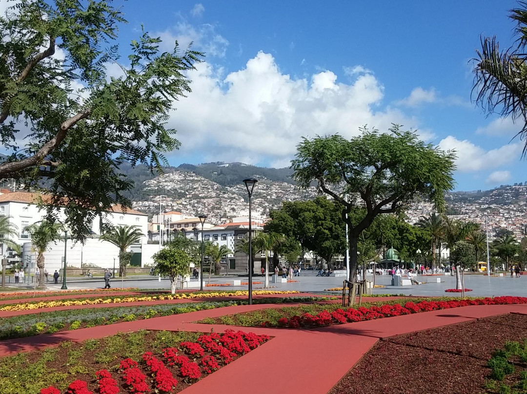 Avenida do Mar景点图片