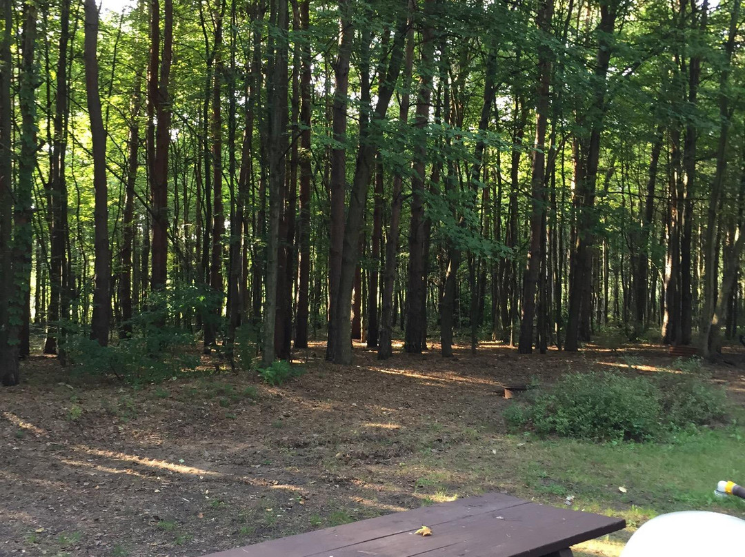 Allendale/Grand Rapids West KOA