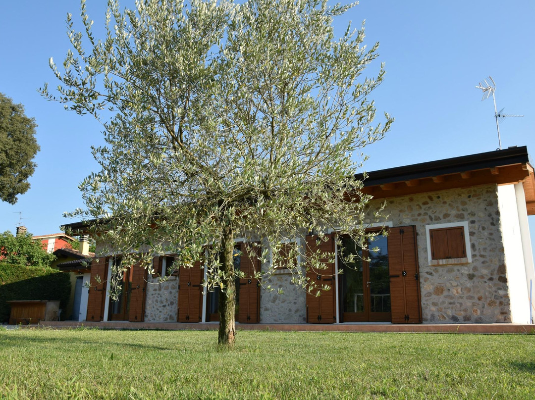 Volta Mantovana酒店住宿-Agriturismo Cimbri