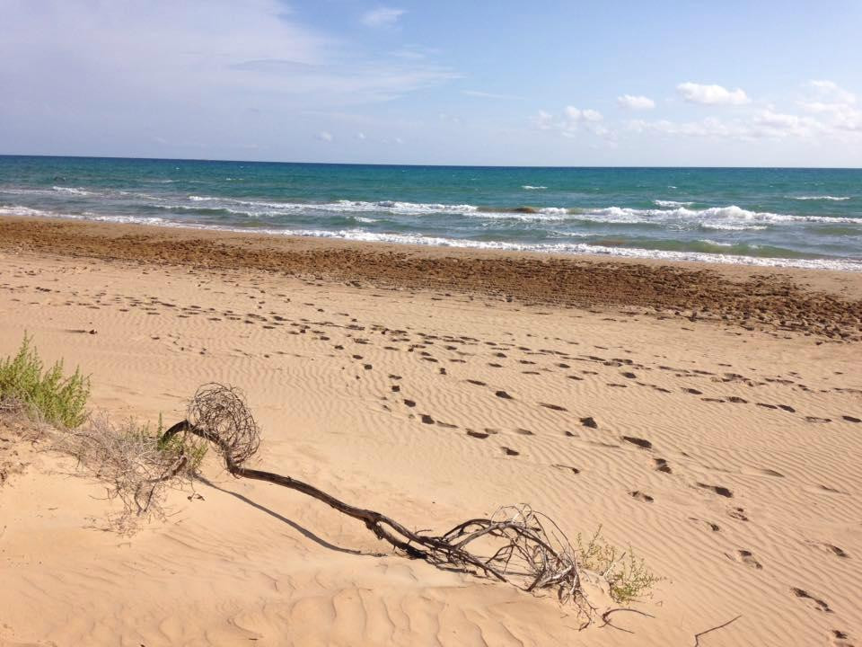 Spiaggia di Santa Maria del Focallo景点图片