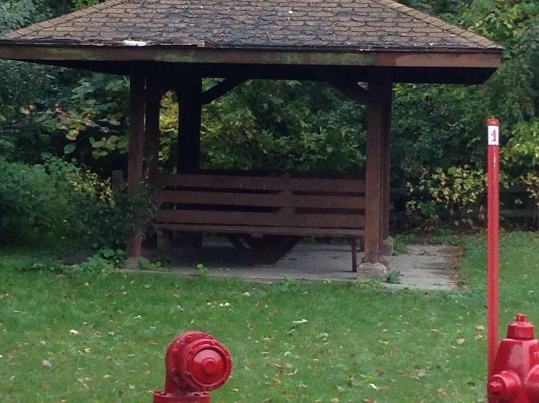 Theodore Wirth Regional Park-明尼阿波利斯必去景点