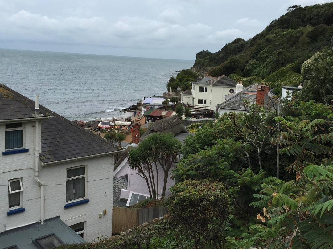 Steephill Cove Beach-文特诺必去景点