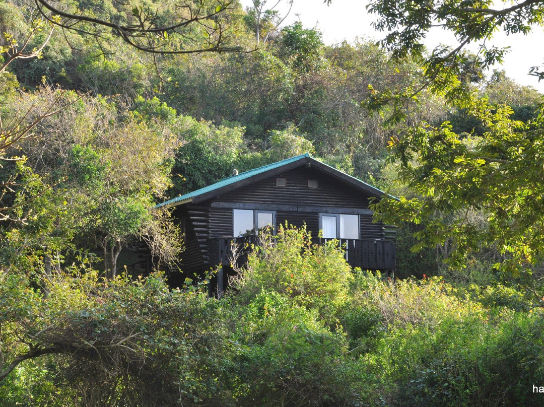 Dwesa Nature Reserve-Port St Johns必去景点