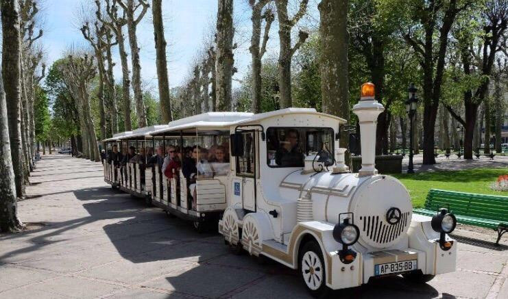 Petit Train Touristique Vichy景点图片